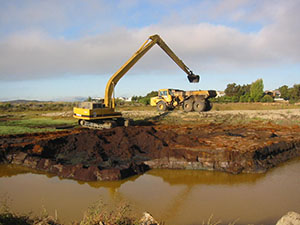 Richmond Field Station Site Remediation