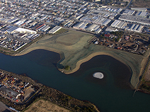 Candlestick Point State Park – Yosemite Slough Wetland Restoration