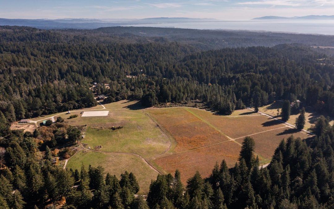 County of Santa Cruz – 2020 CZU Lightning Complex Fire